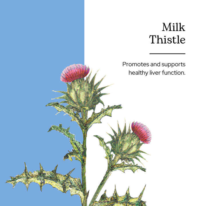 Milk Thistle Extract