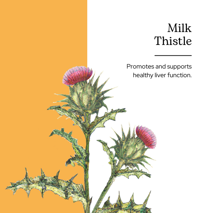 Milk Thistle Glycerite