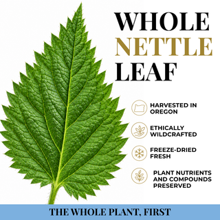 Nettle Leaf Capsules