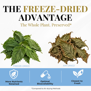 Nettle Leaf Capsules