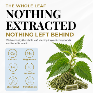 Nettle Leaf Capsules