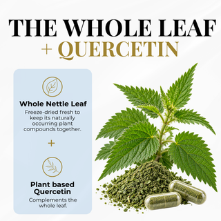 Nettle Quercetin Capsules