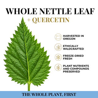 Nettle Quercetin Capsules