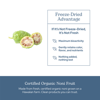 Bottle of organic freeze-dried Noni capsules for immune support and wellness