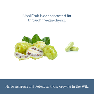 Bottle of Noni capsules highlighting organic, freeze-dried noni fruit for immune and cellular support