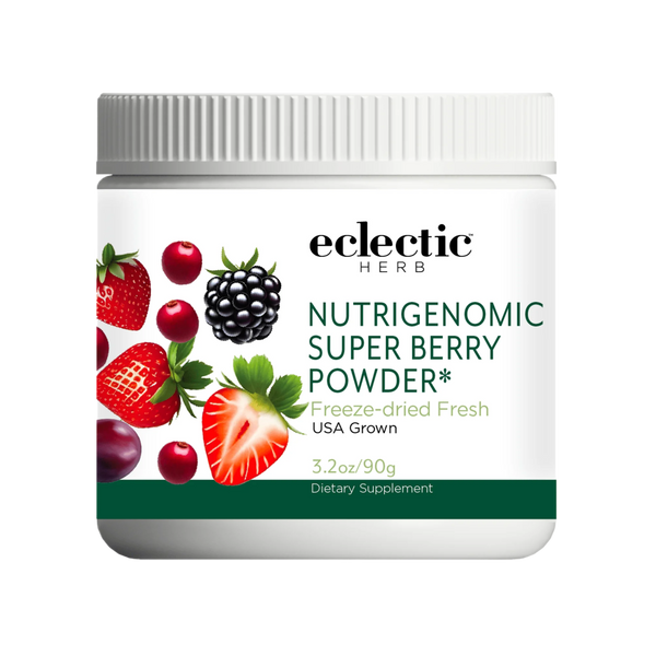 Nutrigenomic superberry powder jar with organic freeze-dried berries for health support
