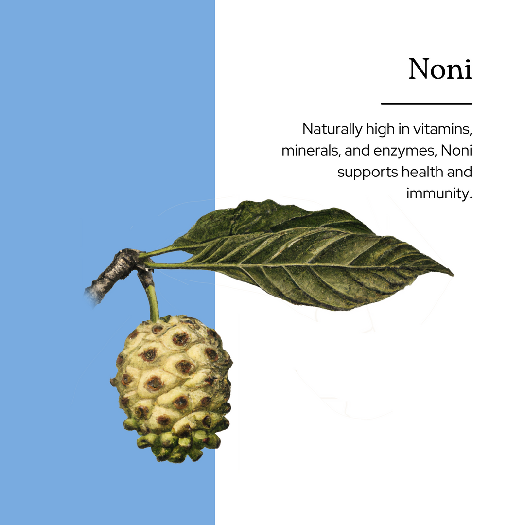 Noni Capsules