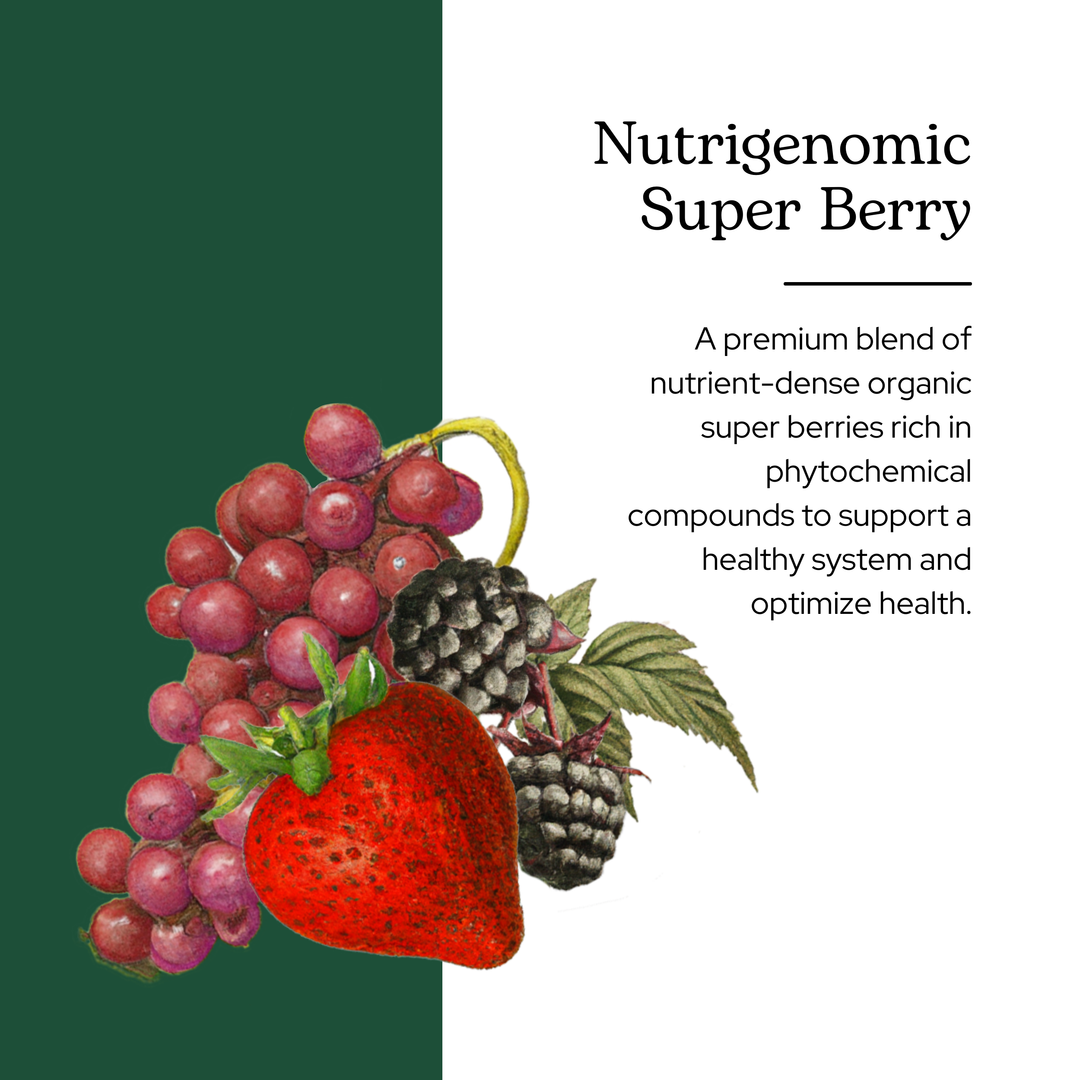 Nutrigenomic Superberry Powder