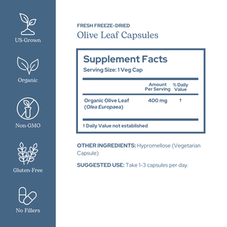 Olive Leaf Capsules