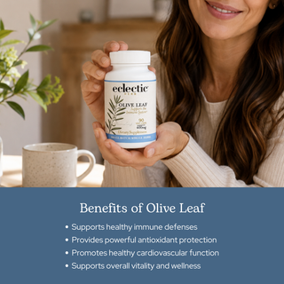 Bottle of organic olive leaf capsules for immune and cardiovascular support