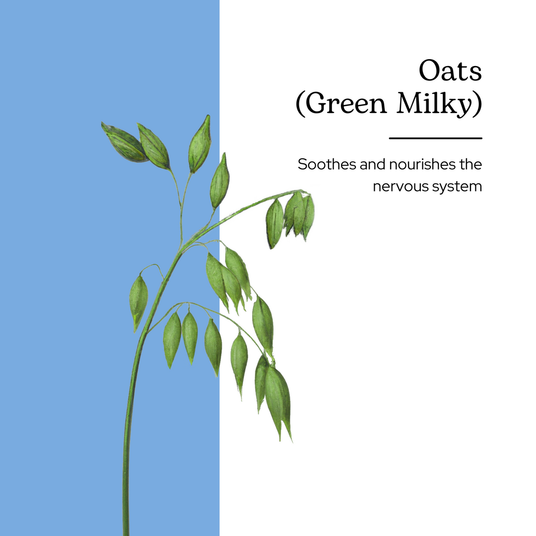 Oats (Green Milky) Capsules