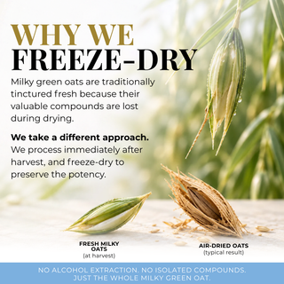 An informational marketing graphic for freeze-dried oats. The top text reads 'WHY WE FREEZE-DRY' with explanatory copy about preserving compounds in milkly green oats.