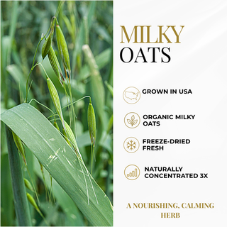 Milk Oats graphic. Grown in the USA. Organic Milk Oats. Freeze-Dried Fresh. Naturally concentrated 3x. Nourishing, calming Herb
