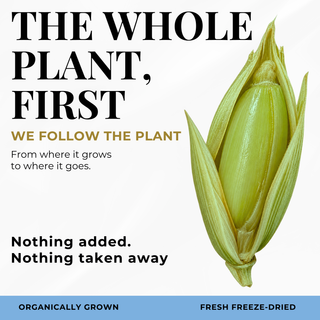 Eclectic Herb Follows The whole Plant First graphic. We follow the plant from where it goes to where it goes. Nothing added. Nothing taken away. Ethically wildcrafted and freeze-dried.