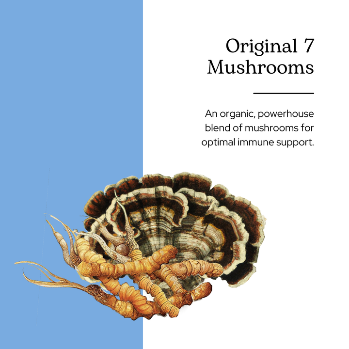 Original 7 Mushroom Extract