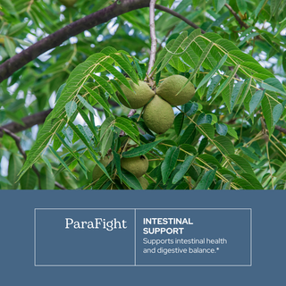 ParaFight Extract