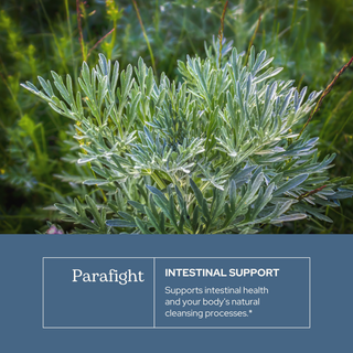 ParaFight Glycerite