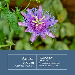 Passion Flower Extract