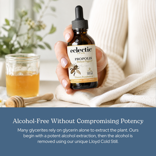 Propolis Glycerite
