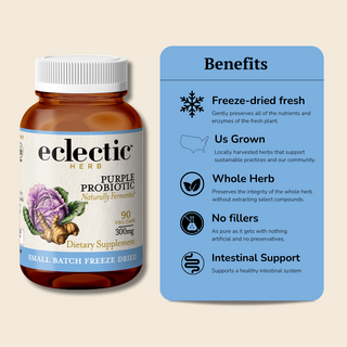 Purple Probiotic
