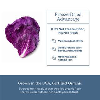 Purple Probiotic Capsules