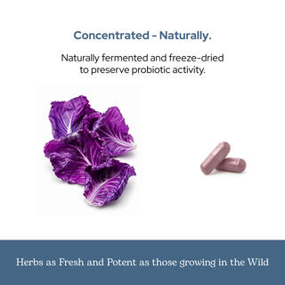 Purple Probiotic Capsules