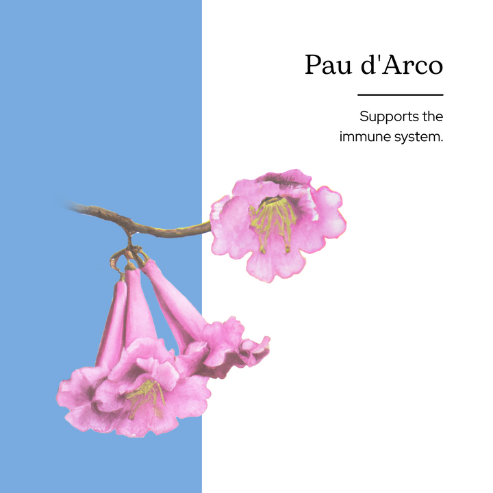 Pau d'Arco Extract