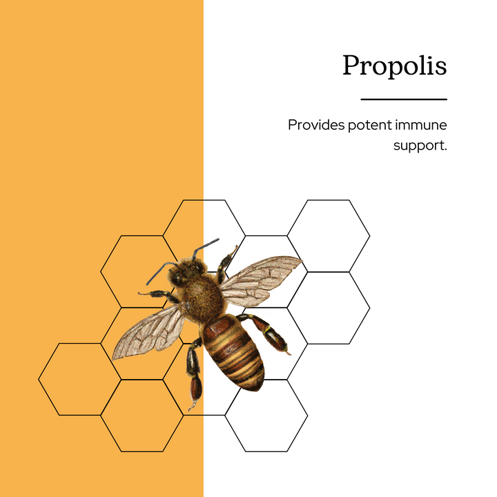 Propolis Glycerite