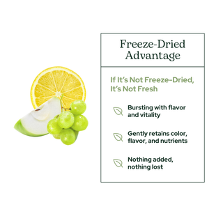 Quercetin flavonoid complex powder with organic freeze-dried fruits and vegetables for antioxidant and immune support