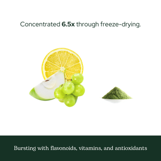 Quercetin flavonoid complex powder with organic freeze-dried grapes, apples, lemon, parsley, kale, and alfalfa for antioxidant and immune support