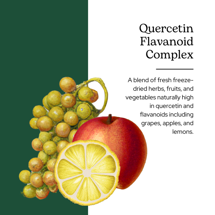 Quercetin Flavonoid Complex Powder