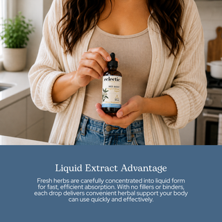 Red Root Extract