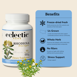 Rhodiola