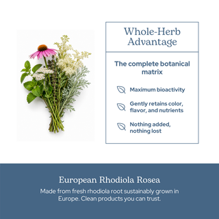 Rhodiola capsules supporting stress relief, energy, and mental focus with whole root and concentrated extract in a clean, vegan formula