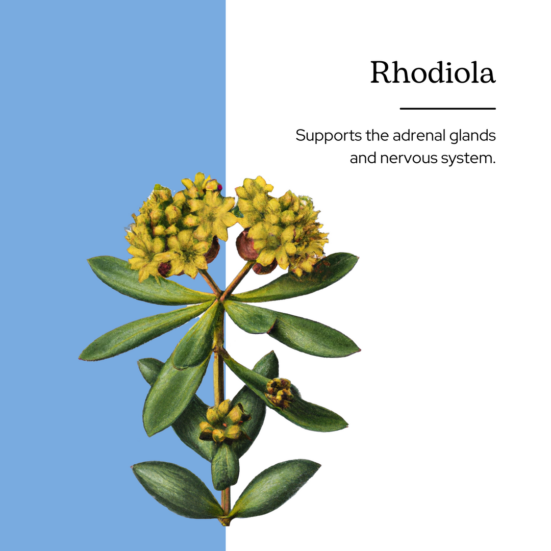 Rhodiola Capsules