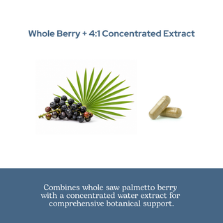 Saw Palmetto capsules for prostate and urinary support with whole berry extract and clean, non-GMO formula