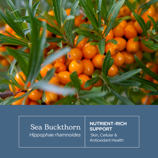 Sea Buckthorn Capsules