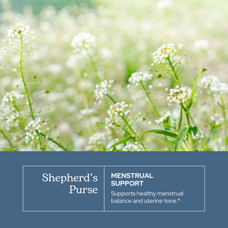 Bottle of Shepherd's Purse extract with herbal leaves and natural wellness benefits description
