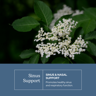Sinus Support Capsules