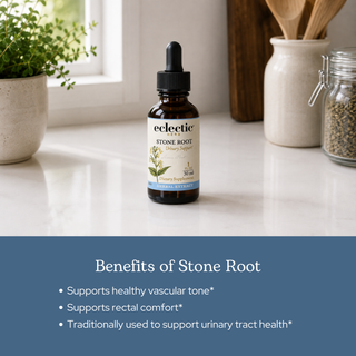 Bottle of Stone Root extract supplement with natural herbal ingredients for vascular and vein support
