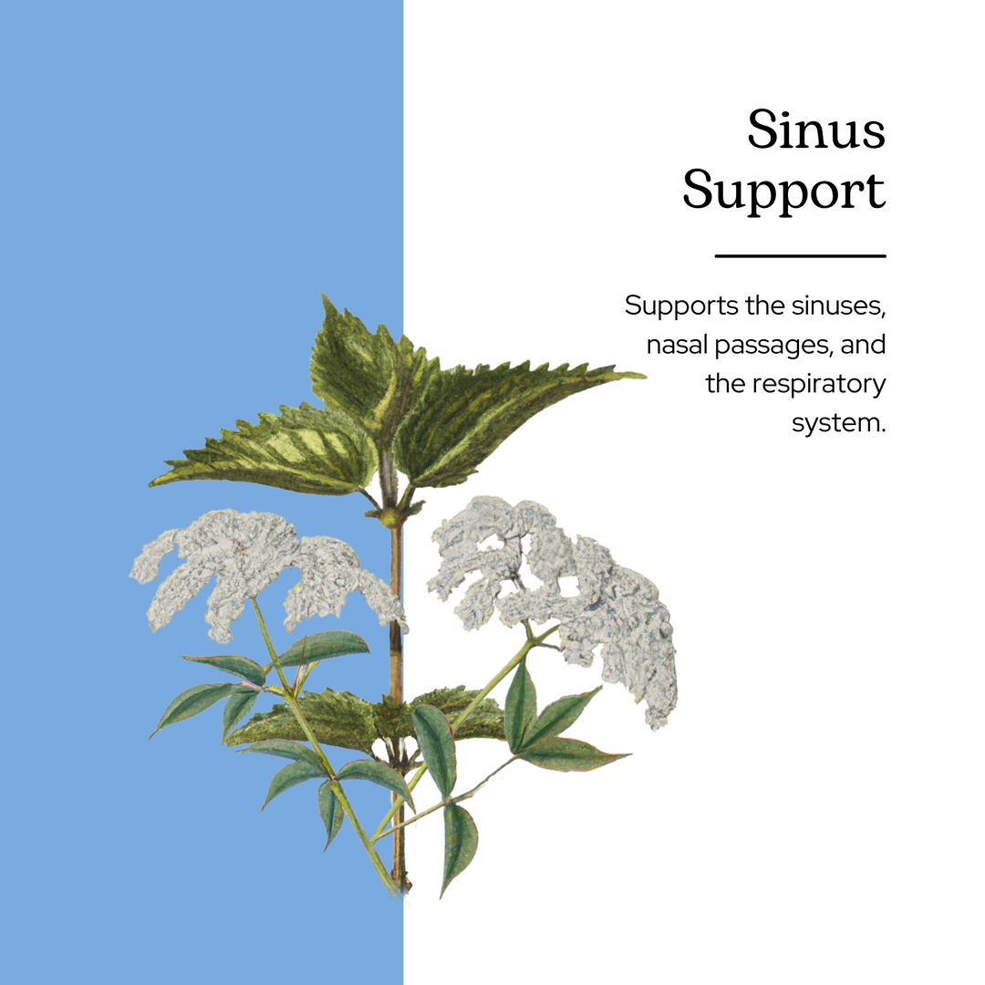 Sinus Support Capsules