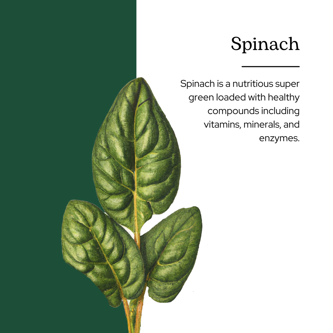 Spinach Powder