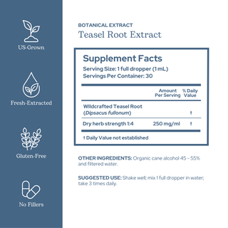 Teasel Root Extract
