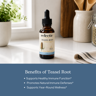 Teasel Root Extract