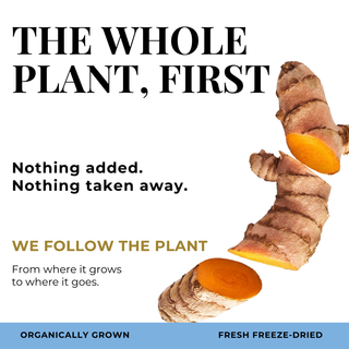 Eclectic Herb Follows The whole Plant First graphic. We follow the plant from where it goes to where it goes. Nothing added. Nothing taken away. Ethically wildcrafted and freeze-dried.