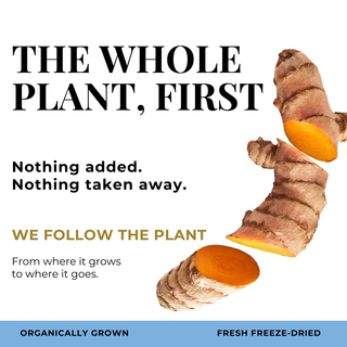 Promotional graphic for a freeze-dried turmeric root product with text reading 'THE WHOLE PLANT, FIRST' and 'WE FOLLOW THE PLANT,' plus 'ORGANICALLY GROWN' and 'FRESH FREEZE-DRIED' on a white background with two turmeric roots shown.