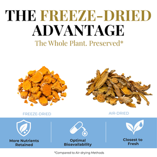 Eclectic Herb Bilberry Freeze-dried Turmeric & Pepper vs. air-dried Turmeric & Pepper. The freeze-Dried advantage, the whole plant preserved, more nutrients retained, optimal bioavailability, and closest to fresh