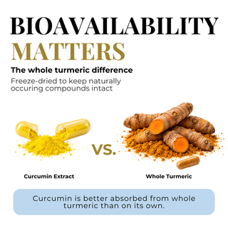 An infographic comparing curcumin extract capsules with whole turmeric roots, titled 'BIOAVAILABILITY MATTERS'. The graphic explains that freeze-dried turmeric is better absorbed, showing yellow powder from a spilled capsule versus orange-brown turmeric roots with powder.