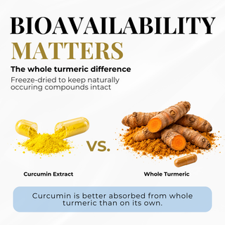 An infographic comparing curcumin extract capsules with whole turmeric roots, titled 'BIOAVAILABILITY MATTERS'. The graphic explains that freeze-dried whole turmeric is better absorbed than curcumin extract, showing yellow powder from a broken capsule versus orange turmeric roots.