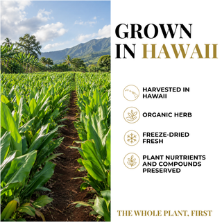 Promotional graphic for a dried herb product, split into a photo of lush green herb fields in Hawaii on the left and text on the right reading 'GROWN IN HAWAII' with bullet points: harvested in Hawaii, organic herb, freeze-dried fresh, and plant nutrients and compounds preserved. The phrase 'THE WHOLE PLANT, FIRST' appears at the bottom.